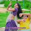 About Mhara Bhairu Matwala Song